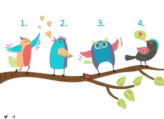 Test: Odaberite pticu i otkrijte šta vam sudbina sprema u februaru