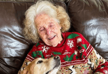 Svi su se svađali oko nasledstva, a istina me je čekala na ogrlici psa