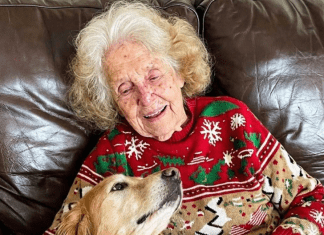 Svi su se svađali oko nasledstva, a istina me je čekala na ogrlici psa