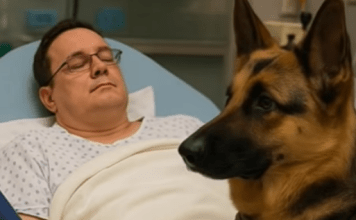 Kada je lavež presekao tišinu: pas koji je vratio život svom heroju