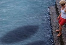 Fotografija koja je zamalo postala poslednja: dodir iz dubine i jezivo otkriće kraj mirnog mora