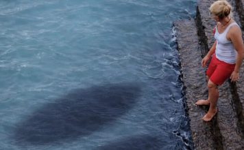 Fotografija koja je zamalo postala poslednja: dodir iz dubine i jezivo otkriće kraj mirnog mora