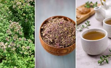 0V0 je najzdraviji čaj na svijetu: Sprječava sve 0D obične prehlade D0 kancera!