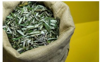 U BIBLIJI SE SPOMINJE 1000 PUTA: Skuhajte čaj koji pomaže kod liječenja od najtežih bolesti!