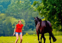 Ovaj video je šokirao ceo svet… Samo pogledajte šta je devojka uradila pastuhu…