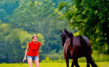 Ovaj video je šokirao ceo svet… Samo pogledajte šta je devojka uradila pastuhu…