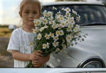 Prišla je svadbenim kolima mala djevojčica s buketom kamilica … Ali mlada slučajno primeti jednu ČUDNU DETALJU u njenoj kosi i nije mogla da veruje svojim očima… 😲😲😲