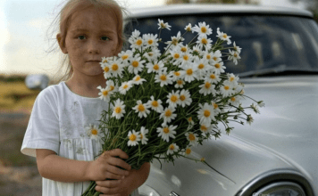 Prišla je svadbenim kolima mala djevojčica s buketom kamilica … Ali mlada slučajno primeti jednu ČUDNU DETALJU u njenoj kosi i nije mogla da veruje svojim očima… 😲😲😲