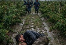 Išao sam da berem maline da skupim novac za majčinu operaciju – a tog dana sam skoro ostao bez svega