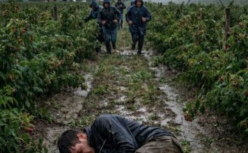 Išao sam da berem maline da skupim novac za majčinu operaciju – a tog dana sam skoro ostao bez svega