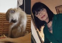 Nada Obrić živela sa majmunom, hranila ga, sa sobom vodila: Nije ni slutila šta će je te večeri snaći u podrumu – igrala se sa đav0lom, koštao je života