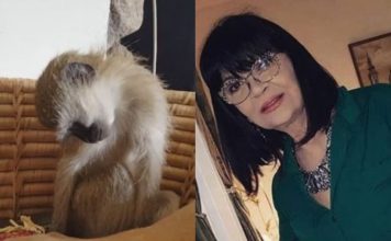 Nada Obrić živela sa majmunom, hranila ga, sa sobom vodila: Nije ni slutila šta će je te večeri snaći u podrumu – igrala se sa đav0lom, koštao je života