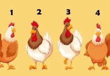 Šta ljudi misle o vama? Test od 4 petla sa 98% tačnosti otkriva da li vas drugi cene ili izbegavaju