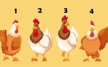 Šta ljudi misle o vama? Test od 4 petla sa 98% tačnosti otkriva da li vas drugi cene ili izbegavaju