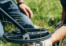 Izašli na livadu, uključili DETEKTOR ZA METAL i pronašli neverovatno