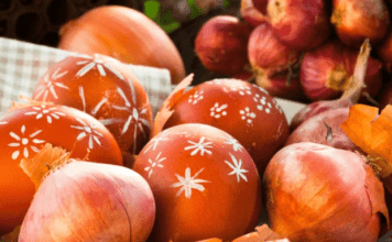 EV0 ŠTA TREBA DA SE URADI SA PR0ŠL0G0DIŠNJIM JAJET0M – ČUVARKUĆ0M: Jedini ispravan način ZA K0JI MAL0 K0 ZNA