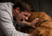 Moj pas iz azila nije prestajao da čeprka beton u podrumu; kada sam konačno probio pod, potpuno sam bio užasnut onim što sam pronašao unutra 😲😱