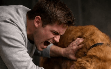 Moj pas iz azila nije prestajao da čeprka beton u podrumu; kada sam konačno probio pod, potpuno sam bio užasnut onim što sam pronašao unutra 😲😱