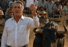 BASNOSLOVNA CIFRA ONOME KOJI UKROTI OVOG BIKA!” — vikao je bogati zemljoposednik, podižući koverat pun novca iznad glave… Svi muškarci u gomili odmah su se povukli, sve dok 15-godišnji dečko nije ušao u arenu — a onda se desilo nešto što niko nije očekivao 😳😳