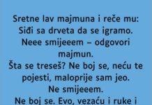 VIC: Majmun i lav