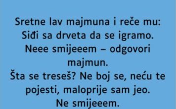 VIC: Majmun i lav