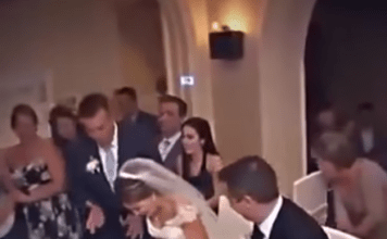 Na svadbi se nešto počelo micati ispod mladenkine haljine – Neočekivani gost koji je nasmijao sve
