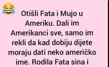 VIC DANA: Fata i Mujo u Americi