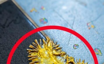 Pronašao sam ovo u kupaonici svoje djevojke. Gledamo to već sat vremena i još uvijek ne možemo shvatiti što je to.