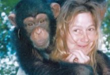 Sandra je godinama gajila šimpanzu i spavala sa njom, ne sluteći šta će je snaći: Taj užas potresao je ceo svet