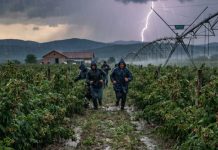 Išao sam da berem maline da skupim novac za majčinu operaciju – a tog dana sam skoro ostao bez svega