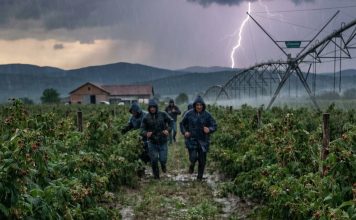 Išao sam da berem maline da skupim novac za majčinu operaciju – a tog dana sam skoro ostao bez svega
