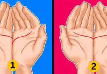 Linija srca: Otkrijte svoje skrivene osobine i veze sa ljudima