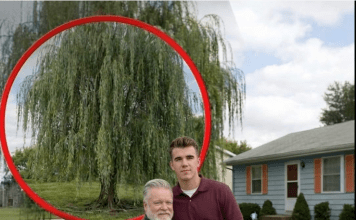 Mislio sam da sam ostao bez svega — dok nisam otvorio sef