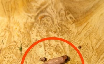 Kuvao sam mleveno meso i kada sam ga izvadio iz tiganja, primetio sam čudan predmet koji nije ličio na meso.