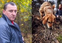 Pas je uznemireno lajao i poveo me u šumu, a onda sam nakon 30 godina saznao istinu o nestanku svog oca: Prizor koji sam zatekao sledio mi je krv u žilama