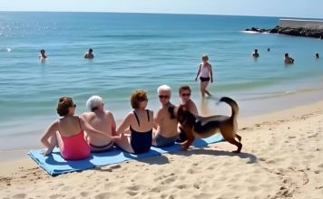Prijateljice su se odmarale na plaži kada je pas dotrčao do njih i počeo da laje — jedna od žena je iznenada pobledela kad je primetila nešto u njegovom krznu.