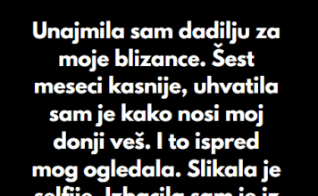 “Unajmila sam dadilju za moje blizance…”