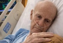 Lekari su dozvolili psu da uđe u sobu usamljenog starca i da legne pored njegovog kreveta; ali uveče je dežurna medicinska sestra tiho otvorila vrata sobe da proveri pacijenta, i ono što je videla nateralo ju je da se ukoči na pragu.