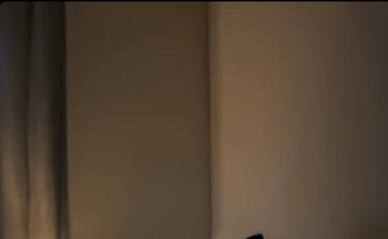 Naš pas je nepomično gledao u zid u spavaćoj sobi i stalno lajao, ne dopuštajući nam da spavamo: morali smo pozvati majstora da sruši zid. 😱😱