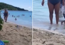 Snimak sa plaže koji ljudi gledaju po 10 puta zaredom: “Možete da kažete šta hoćete, ali ja joj skidam kapu”