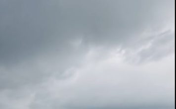 Šestogodišnji dječak vidio mokar konopac pored rijeke: povukao ga je, a nekoliko minuta kasnije isplivalo je nešto zastrašujuće 😨😱