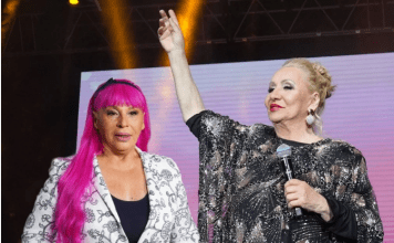 ŠTA SE SAD DEŠAVA SA ZORICOM BRUNCLIK? Vesna Zmijanac šokirala javnost!KOSA JOJ OTPALA…