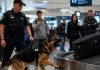 Pas na aerodromu iznenada je počeo glasno da laje na crni kofer, odmah privukavši pažnju policajca: u početku je policajac pomislio da je pas jednostavno pogrešio, ali kada su otvorili kofer, svi oko njih su se ukočili od užasa videvši ono što se nalazilo unutra 😨