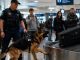 Pas na aerodromu iznenada je počeo glasno da laje na crni kofer, odmah privukavši pažnju policajca: u početku je policajac pomislio da je pas jednostavno pogrešio, ali kada su otvorili kofer, svi oko njih su se ukočili od užasa videvši ono što se nalazilo unutra 😨