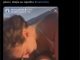 JAKOV JOZINOVIĆ I DŽEJLA RAMOVIĆ U VEZI! Osvanuli intimni trenuci s jahte: Ljube se dok uživaju u plovidbi (FOTO/VIDEO)