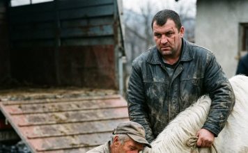 Prodao konja mesaru da plati dugove: Susret posle 5 godina ledi krv u žilama