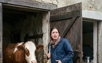 Trudna i napuštena, pronašla je jedinu nadu u štali