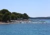 U plićaku Jadrana viđeno opasno stvorenje: Približilo se popularnoj plaži, upozorenje za turiste i kupače