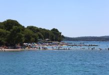 U plićaku Jadrana viđeno opasno stvorenje: Približilo se popularnoj plaži, upozorenje za turiste i kupače