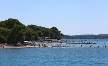 U plićaku Jadrana viđeno opasno stvorenje: Približilo se popularnoj plaži, upozorenje za turiste i kupače